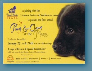 Paws & Claws: The Humane Society